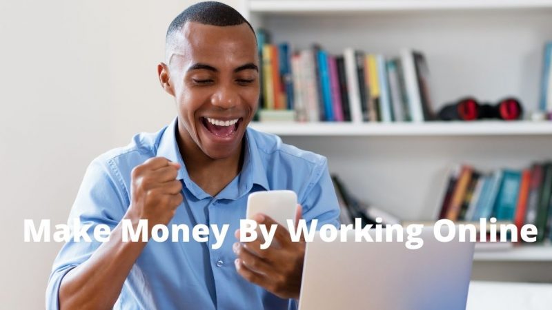 5 Professional Ways To Make Money By Working Online