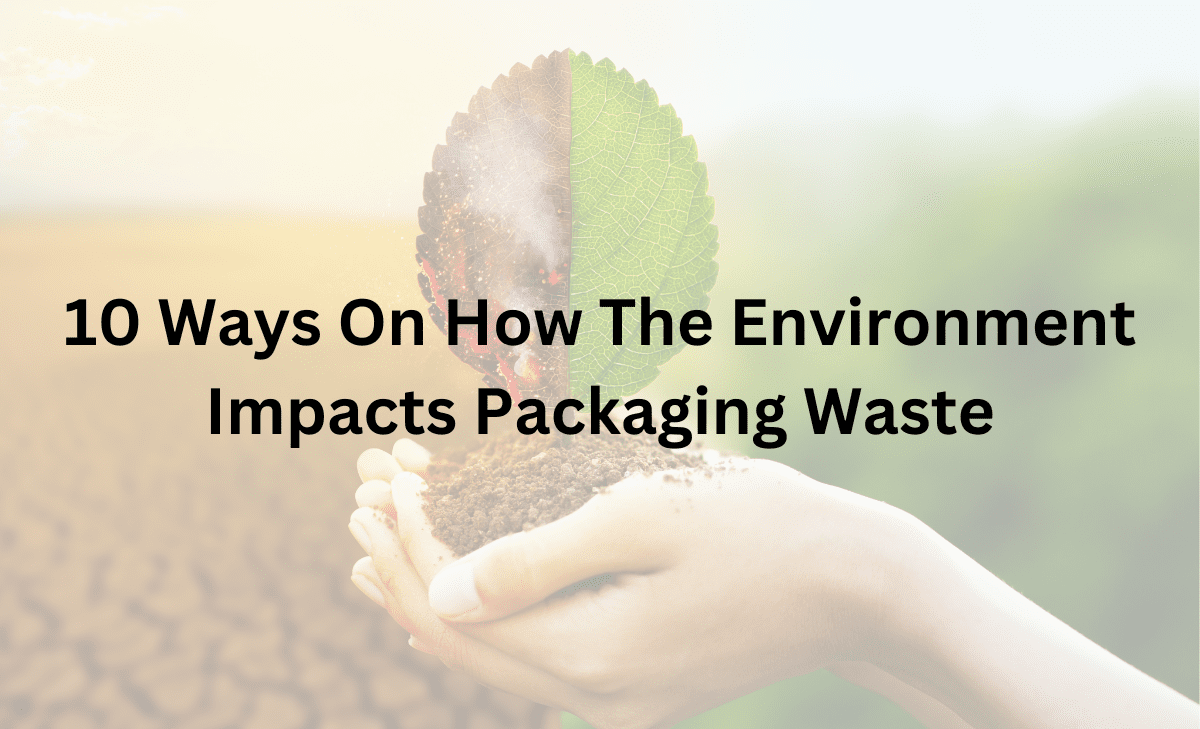 10 Ways On How The Environment Impacts Packaging Waste