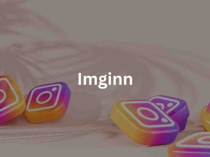 Imginn: Anonymous Instagram Viewer and Downloader