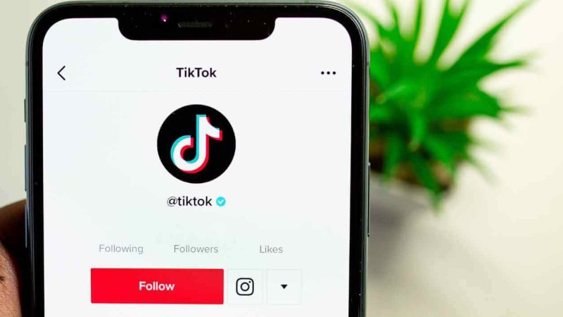 Trollishly: How Small Businesses Can Use TikTok to Boost Sales?