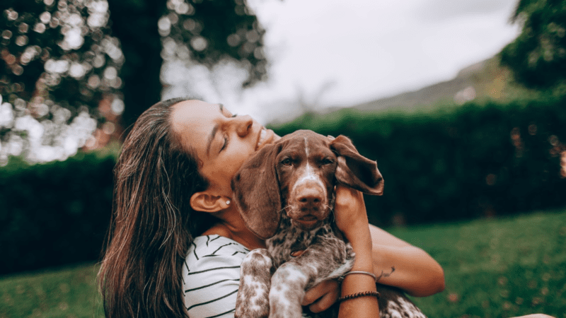 The Joys and Responsibilities of Dog Ownership: What to Expect When You Get a Dog